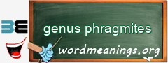 WordMeaning blackboard for genus phragmites